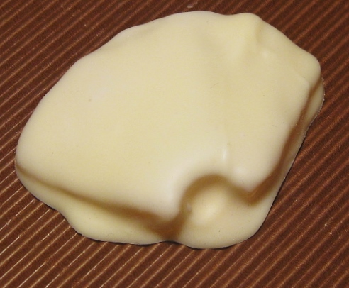 Trockenfrüchte in Schokolade