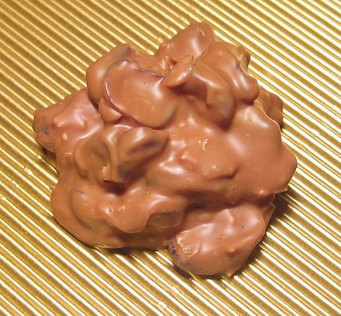 Cranberries in Schokolade