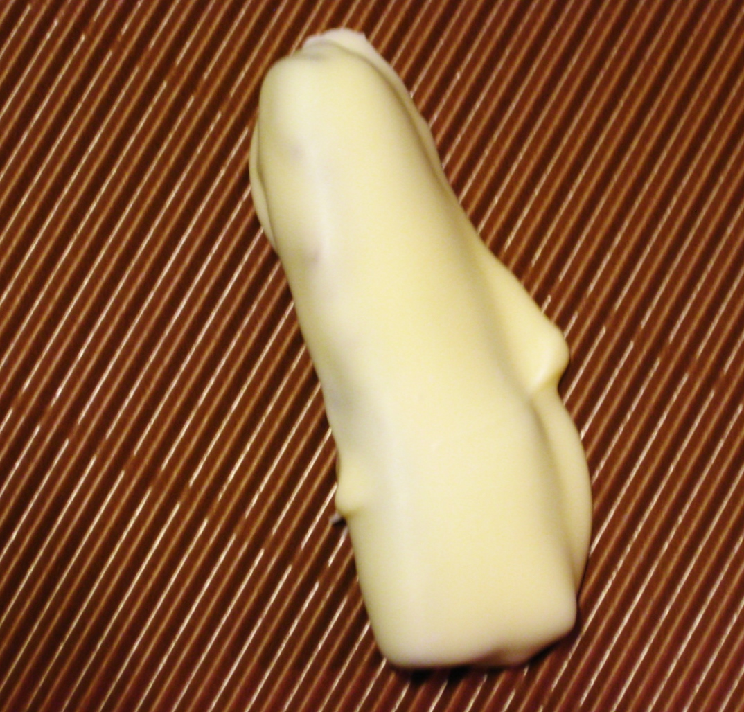 Trockenfrüchte in Schokolade