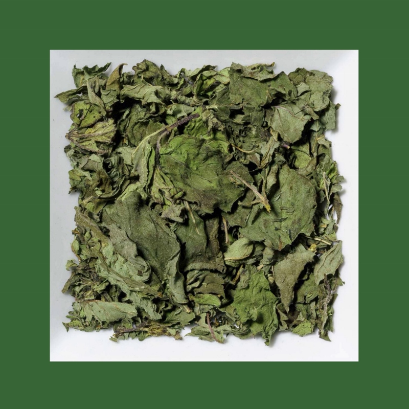 Pfefferminze ganz Kräutertee