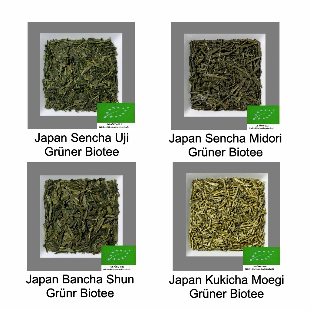 Probiermix Grüner Tee 1