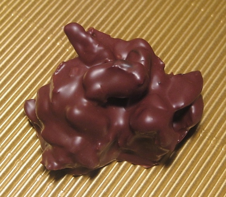 Cranberries in Schokolade