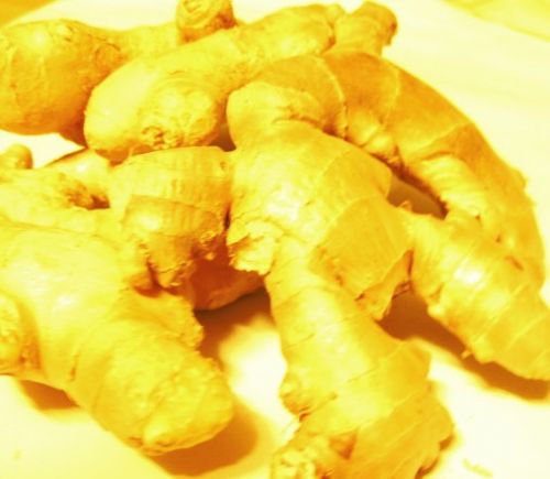 Frische Ingwerwurzel