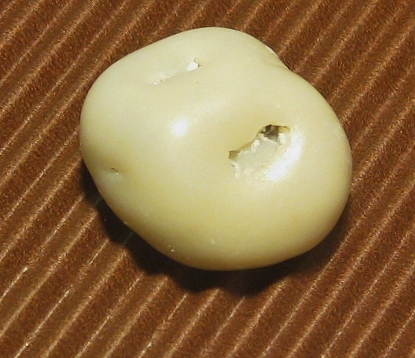 rosinen in yoghurtschokolade