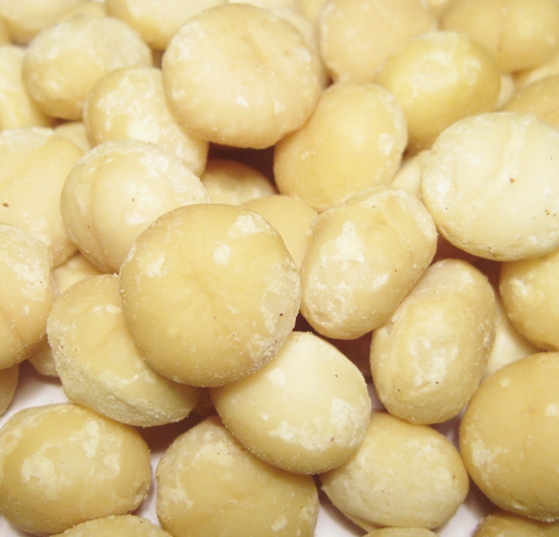 Macadamia