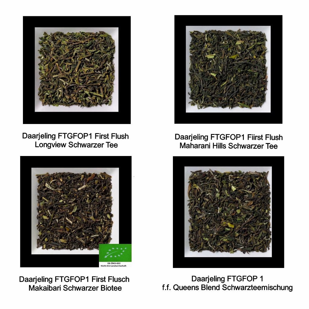 Probiermix Darjeeling