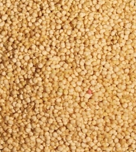 bio quinoa